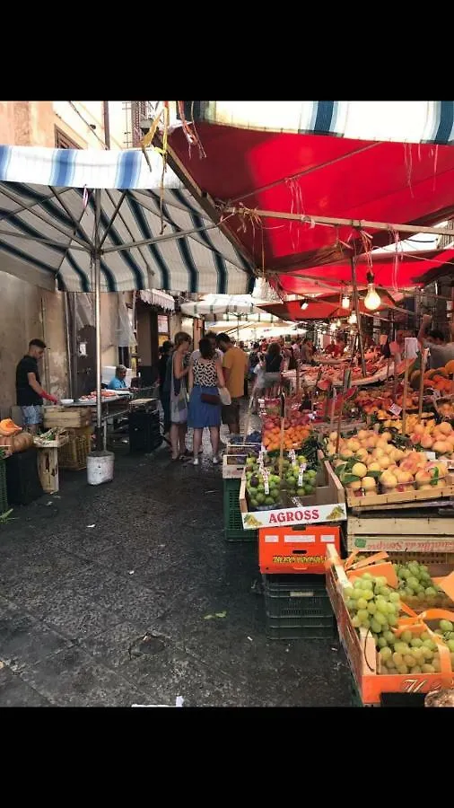Vista Capo Apartment Palermo Italy